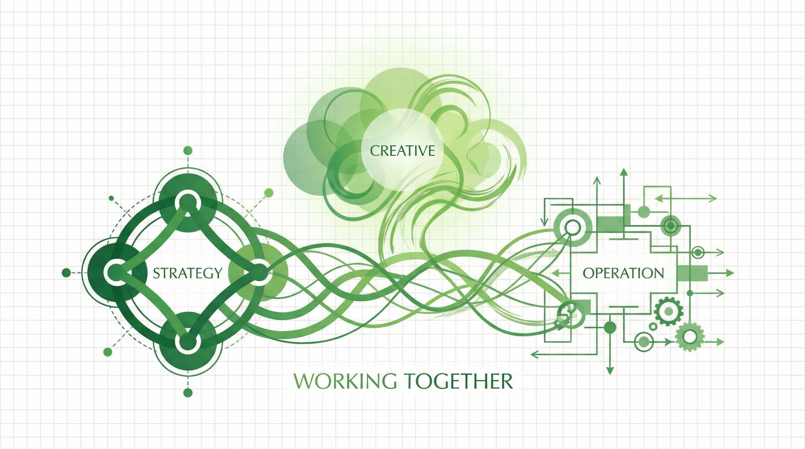 Sustainable Fashion Brand Launch